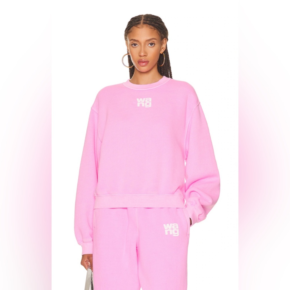 Alexander Wang Puff Paint Logo Sweatshirt